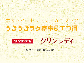 うきうきラク家事＆エコ得 クリナップ クリンレディ Cクラス(間口255cm)